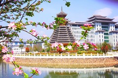 凯里学院录取分数最低多少分？附2023年凯里学院各省最低投档线