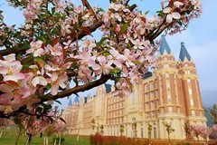 贵州黔南经济学院录取分数最低多少分？附2023年贵州黔南经济学院各省最低投档线