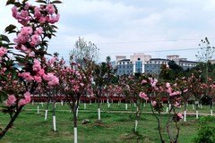 铜仁职业技术学院录取分数最低多少分？附2023年铜仁职业技术学院各省最低投档线