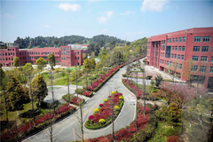 贵州职业技术学院录取分数最低多少分？附2023年贵州职业技术学院各省最低投档线