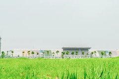 2024年四川高考理科519分可以上什么大学？附2024年可以报的大学名单