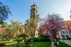 昆明理工大学录取分数最低多少分？附2023年昆明理工大学各省最低投档线
