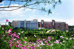 玉溪师范学院录取分数最低多少分？附2023年玉溪师范学院各省最低投档线