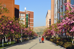云南经济管理学院录取分数最低多少分？附2023年云南经济管理学院各省最低投档线