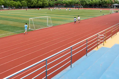 德宏职业学院录取分数最低多少分？附2023年德宏职业学院各省最低投档线