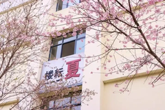 云南新兴职业学院录取分数最低多少分？附2023年云南新兴职业学院各省最低投档线