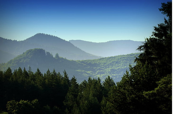5ec261c76775cb7a6f6366bfcef55de.png