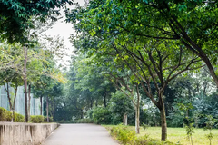 2024年四川高考理科584分可以上什么大学？附2024年可以报的大学名单