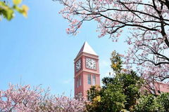 保山学院录取分数最低多少分？附2023年保山学院各省最低投档线