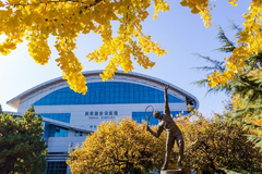 北京体育大学录取分数最低多少分？附2023年北京体育大学各省最低投档线
