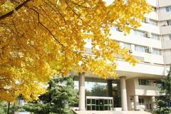 北京联合大学录取分数最低多少分？附2023年北京联合大学各省最低投档线