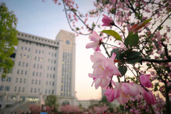 2024年辽宁高考多少分能上鞍山师范学院？附2023年各专业录取最低分