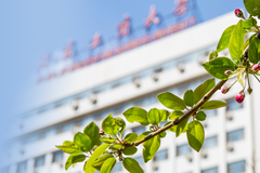 北京工商大学录取分数最低多少分？附2023年北京工商大学各省最低投档线