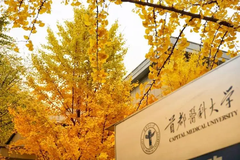 首都医科大学录取分数最低多少分？附2023年首都医科大学各省最低投档线