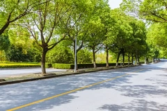 贵州高考最低多少分能上上海政法学院？附2024各专业最低分及位次