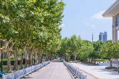 嘉兴大学2024年录取分数线及位次一览：2025年浙江高考生填报参考（附专业分）