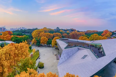 辽宁工业大学2024年录取分数线及位次一览：2025年山东高考生填报参考（附专业分）