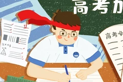 成都中医药大学2024年录取分数线及位次一览：2025年山东高考生填报参考（附专业分）