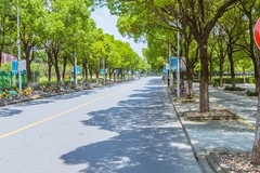 南京邮电大学2024年录取分数线及位次一览：2025年山东高考生填报参考（附专业分）