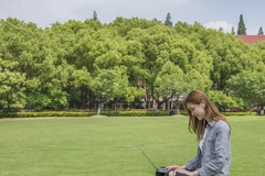 天津医科大学2024年录取分数线及位次一览：2025年山东高考生填报参考（附专业分）